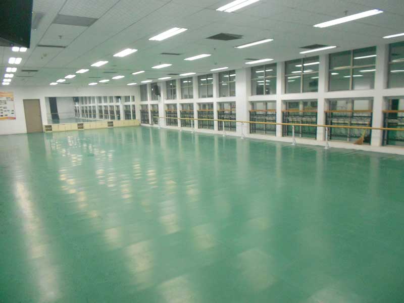 河北保定市河北大學藝術學院舞蹈草莓视频APP色版