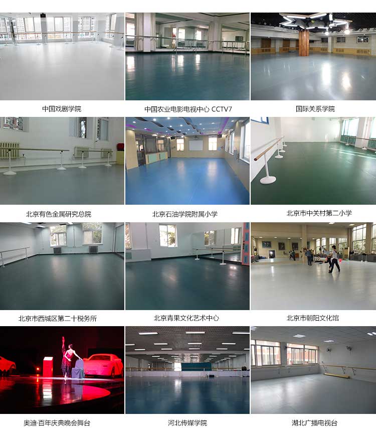 舞蹈二代·舞蹈草莓视频APP色版_舞台草莓视频APP色版